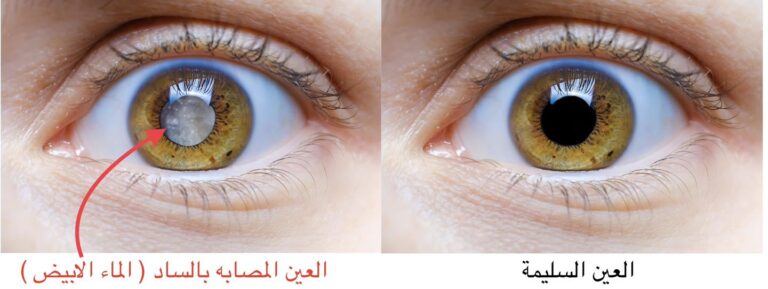 ماء ابيض 1 768x289