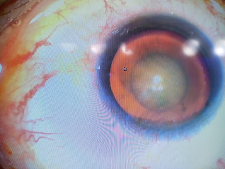 ماء الاسود 768x576